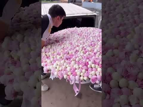 3 ноября 2024 г.