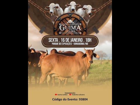 LEILÃO GUIMA LEILOES (16/01/2026 ) Leilão em Guimarânia MG