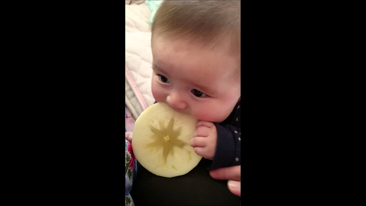 初めてのりんご体験