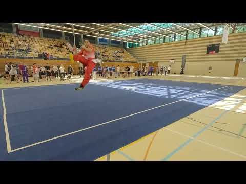 ➡️ Dao Shu Optional Jean Michel Merten Wushu Swiss Open 2025 GOLD