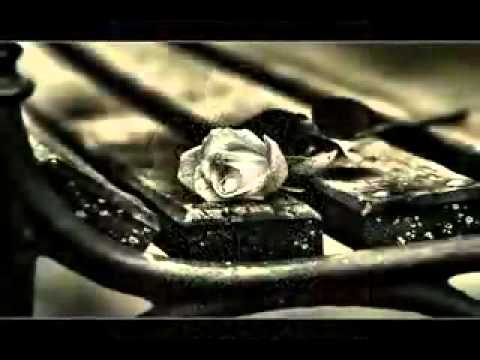 Pouya bayati - Zajre jodaie