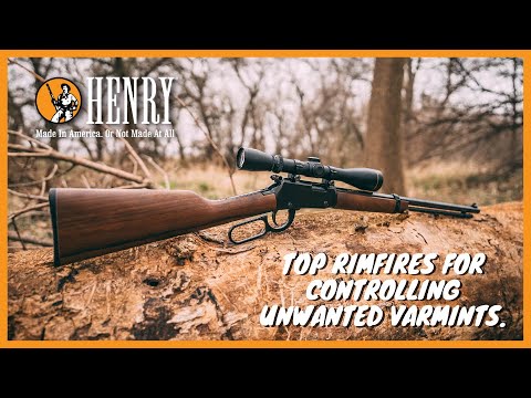 Best Lever Action Rifles For Varmints - Top Four Henry .22 Mag & .17 HMR Models