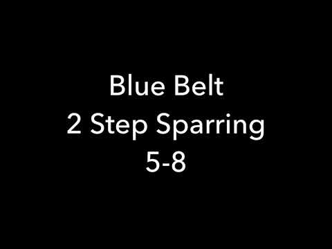 2 Step Sparring 5-8