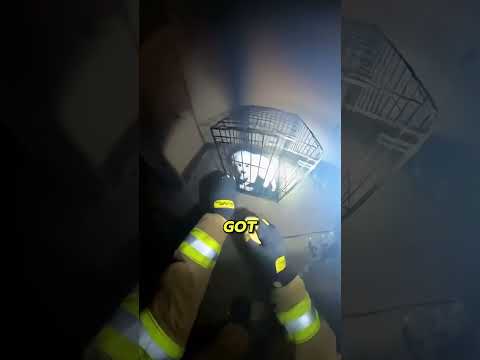 Firefighter Risks It All For One Puppy!