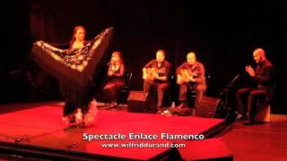 Spectacle Enlace Flamenco Oct 2012