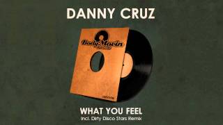 Danny Cruz - What You Feel video