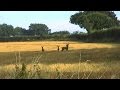 Goldfrapp - A Trip To Felt Mountain
