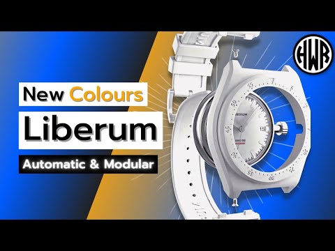 Exciting BUDGET MODULAR watch?