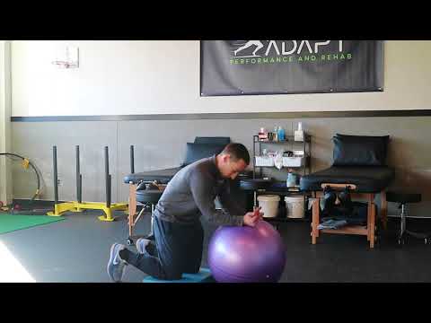 Stability Ball Rollout ISO