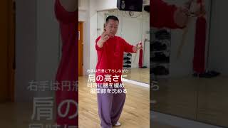 孫建明#china武術 #太極拳 #養生太極 #        初心者向け～剣の練習#