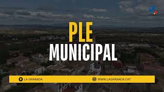Ple ordinari de 26 de maig de 2026