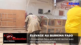L'élevage hors sol prend racine au Burkina Faso 