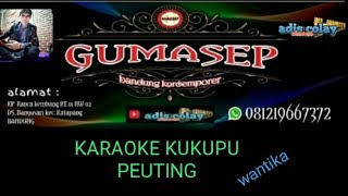 Download lagu Karaoke kukupu peuting versi calung gumasep mp3 Download lagu Karaoke kukupu peuting versi calung gumasep mp3