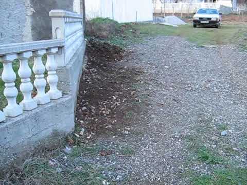 LJESKOVAC 23 01 11 god  1