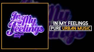 In My Feelings Music Video