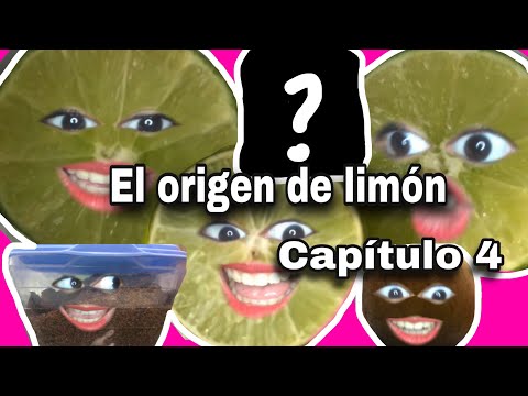 EL REFRIGERADOR (SERIE TIKTOK) “EL ORIGEN DE LIMÓN “ PARTE 4