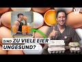 1x Ei Pro Woche Die Größten Irrtümer über Eier Was Du WIRKLICH Wissen Solltest