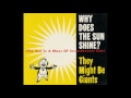 They Might Be Giants - Why Does The Sun Shine (live)