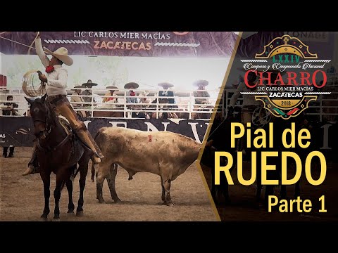 PIAL DE RUEDO part 1 - Zacatecas Congress 2018