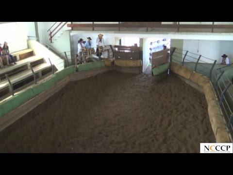 Transmissão ao vivo de NCCCP Planalto