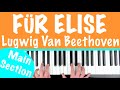FUR ELISE Ludwig Van Beethoven Piano Tutorial Main Section