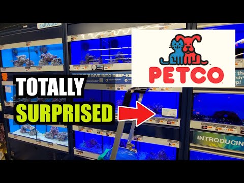 Petco Secaucus Nj