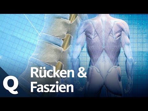  Faszien, Wirbel, Bandscheiben – Woher kommen die Schmerzen im Rücken? | Quarks