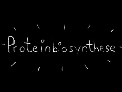 Proteinbiosynthese einfach erklärt | Animation (for school)