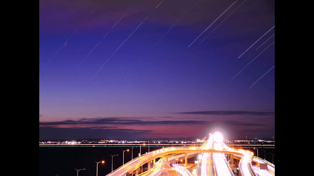 Orchid - The Moonflow