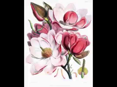 Happy birthday mare Toby Lyn