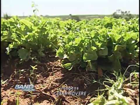 Band Cidade Campinas 04 05 2012 - bloco 02