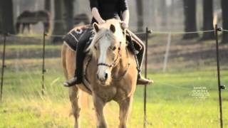 You are like a summer rain