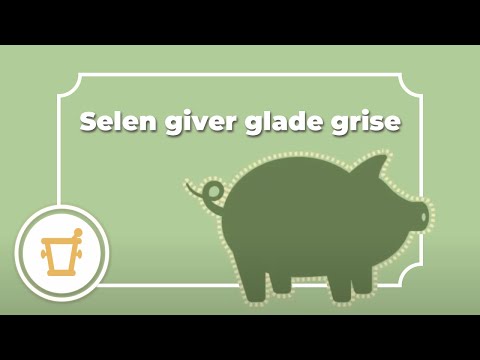 , title : 'Selen - Vidste du, at danske svin får selen? | Pharma Nord'