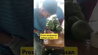Download lagu Kelapa pandan khas Singapore #viralvideo #fyp #petanimuda #panen #berkebun #kreatif mp3 Download lagu Kelapa pandan khas Singapore #viralvideo #fyp #petanimuda #panen #berkebun #kreatif mp3