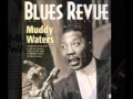 MUDDY WATERS FUNNY SOUNDS - Raymond Swarbrick MUDDY WATERS FUNNY SOUNDS