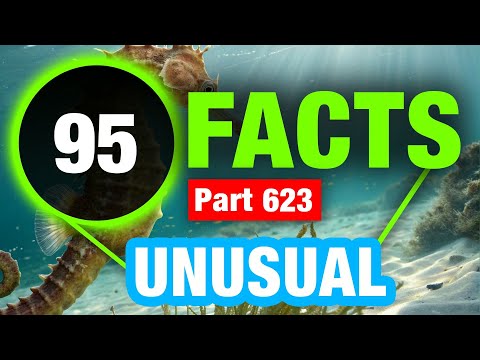 95 Amazing Facts You Never Knew