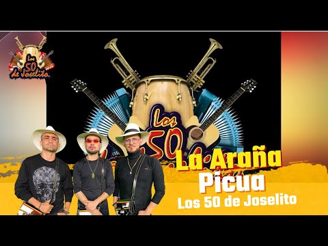Los 50 de Joselito - La Araña Picúa (Video Letra)