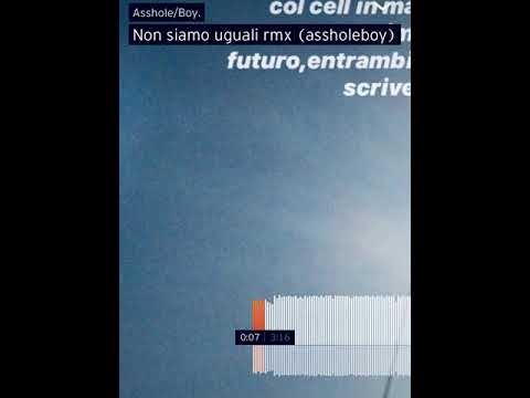 Non siamo uguali  rmx (assholeboy)