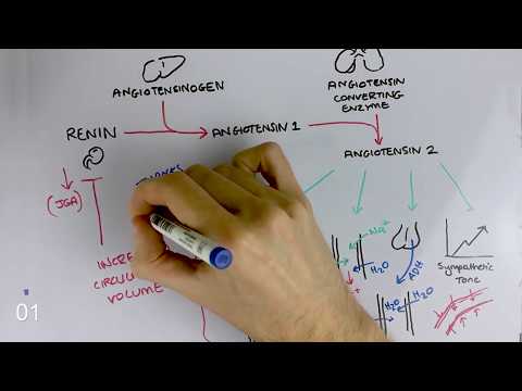 Renin Angiotensin Aldosterone System MADE EASY (60 SECONDS)