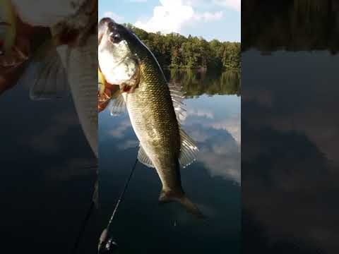 download lagu mp3 mp4 Bgedition, download mp3 Bgedition free downloadn, video klip Bgedition