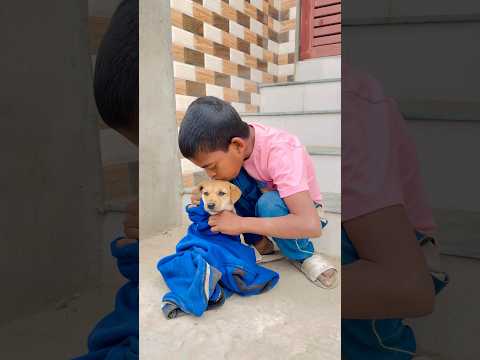 Save dog baby 🥺 please 🙏 #shorts
