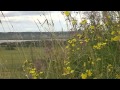 Северная Двина - "Русская Душа" - Барыкин Романов Ревякин Старостин ...