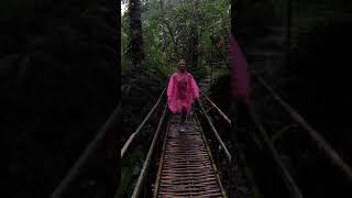 Download lagu no bra & rain vibe mp3 Download lagu no bra & rain vibe mp3