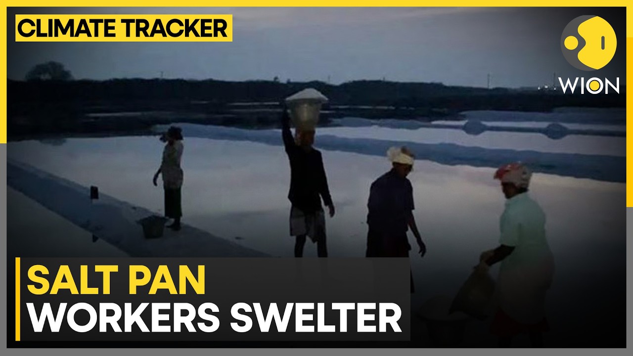 Heat Pushes Salt Pan Workers Into Night Shifts | WION Climate Tracker