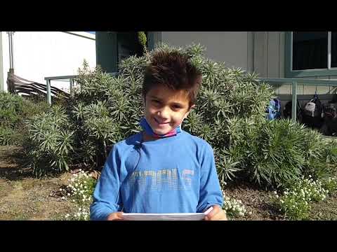 Weekly Wave 29 Nov -3 Dec 2021