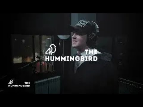 Hummingbird Sessions 037 - 3EE