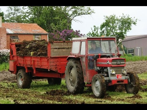 Landb. Roose - Eernegem - Massey Ferguson 135 - Cavero