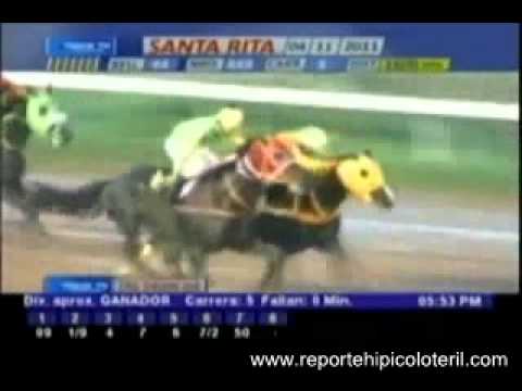 Resumen Viernes 04 de Noviembre de 2011   Valencia