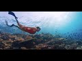 BANDE ANNONCE Documentaire MISI KARANG 2023