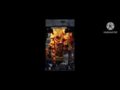 RAJI HOMEMADE CHOCOLATES 🍫🍫